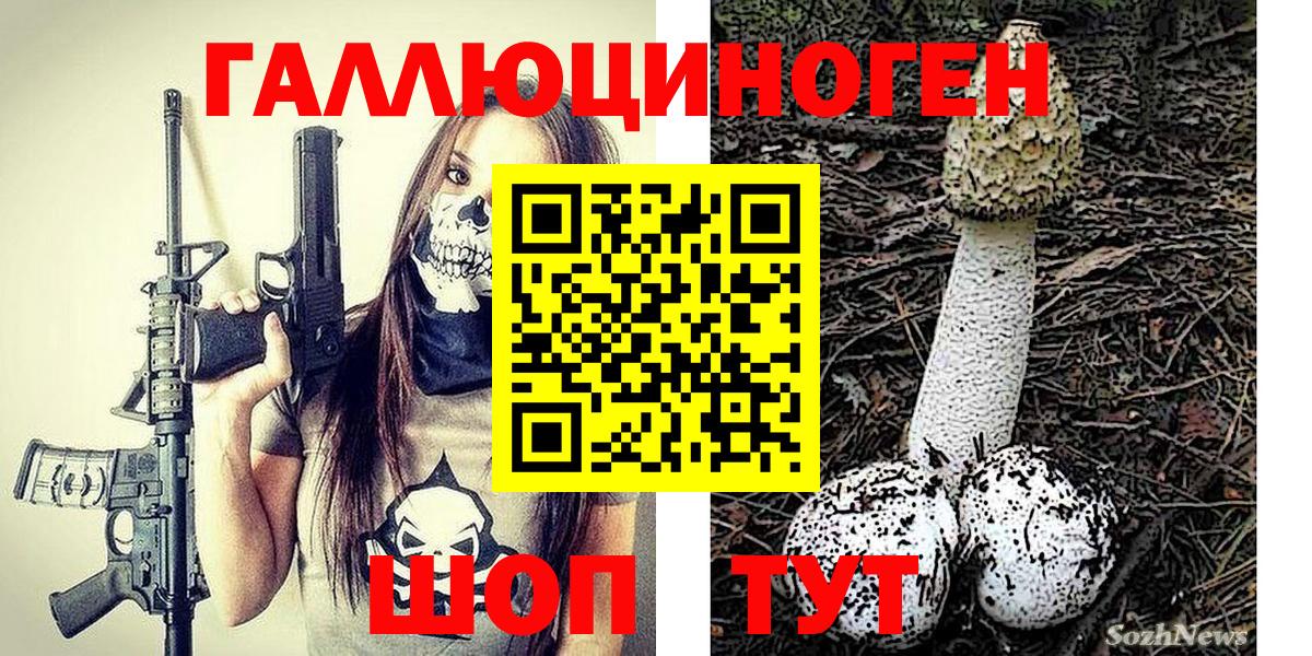 купить  сайты  Галлюциногенные грибы Psilocybine cubensis  Галлюциногенные грибы Magic Shrooms  Вход с VPN  Ртищево 