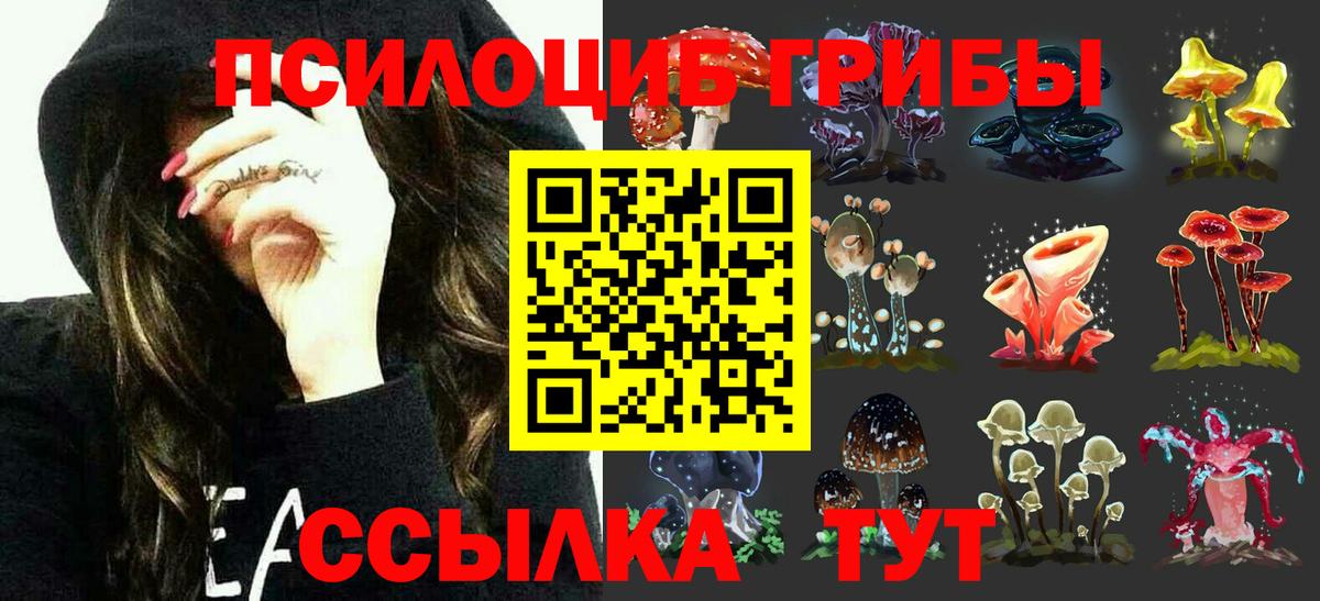 Галлюциногенные грибы Magic Shrooms Ртищево